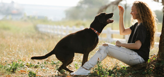 Happy healthy dog getting a supplement treat from a female owner.