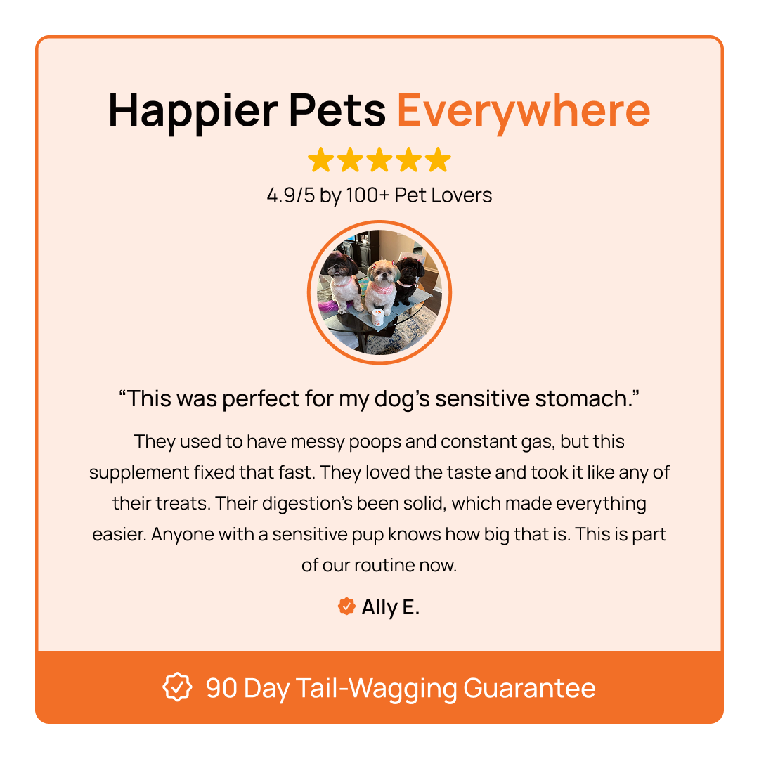 A single green leaf against a white background.