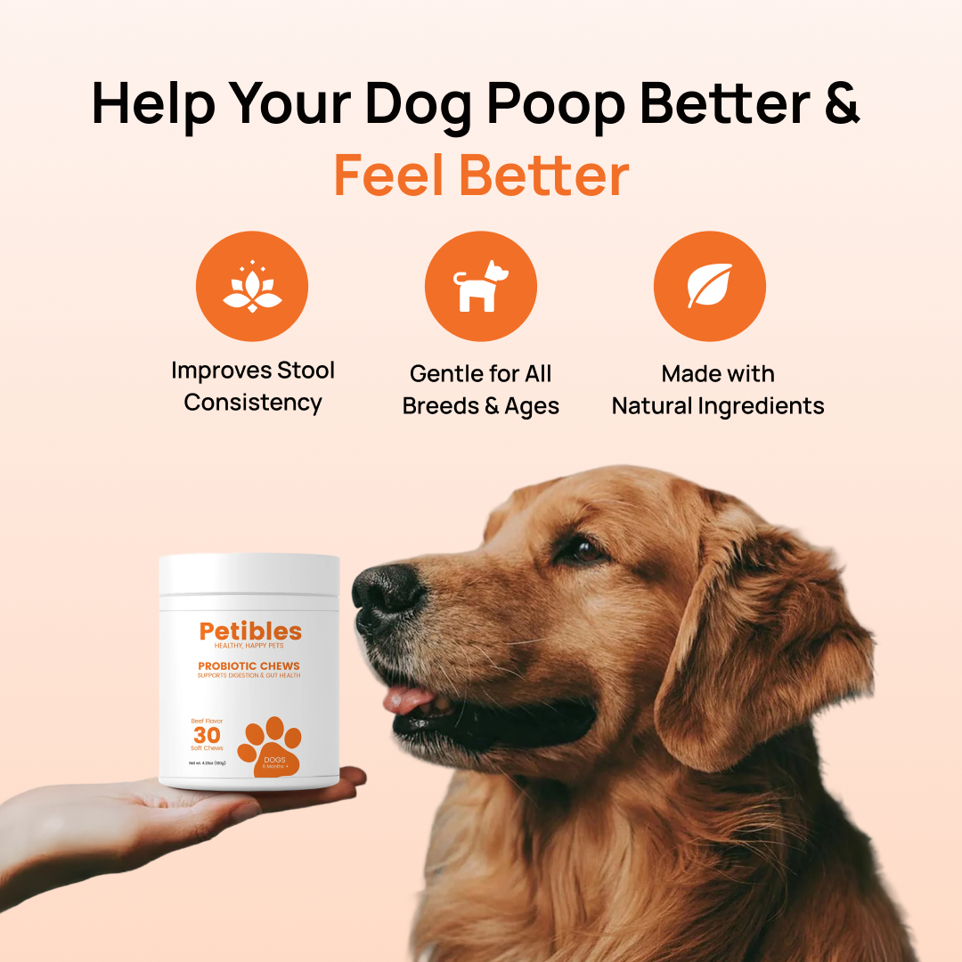 Probiotic Chews