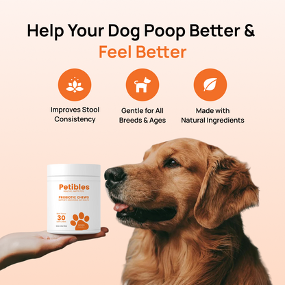 Probiotic Chews