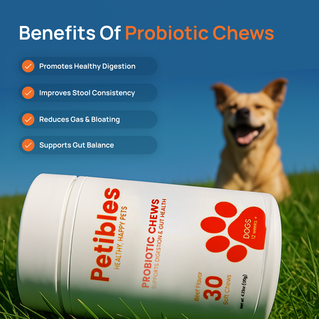 Probiotic Chews