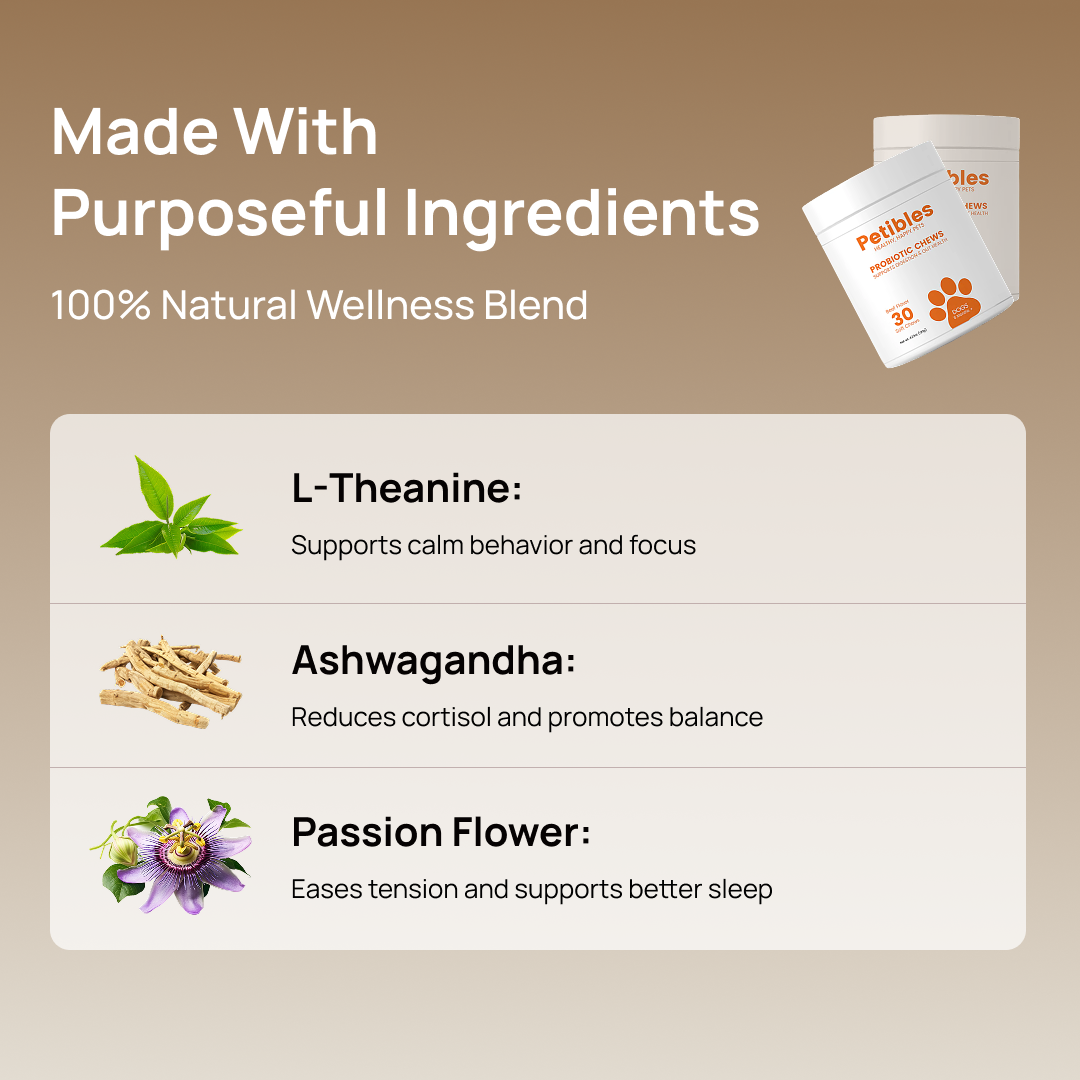 Probiotic Chews