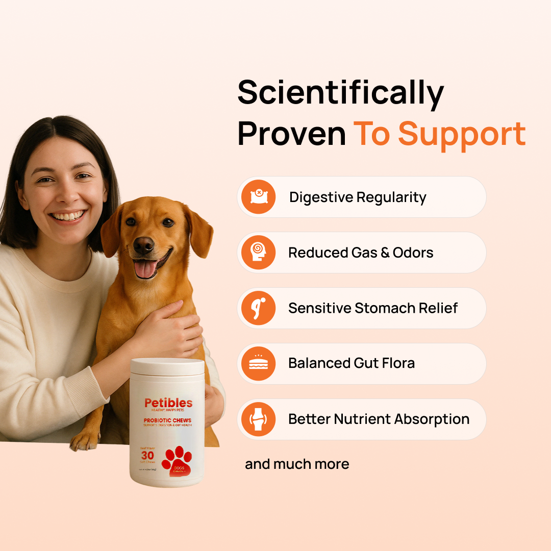 Probiotic Chews