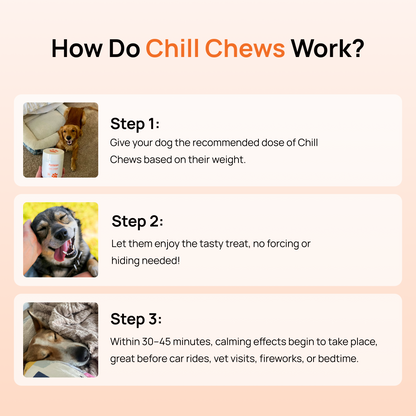 Chill Chews