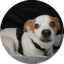 Reviewer image