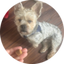Reviewer image