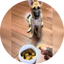Reviewer image